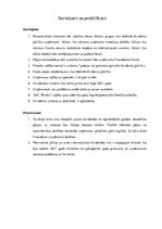 Referāts 'Dividenžu politika uzņēmumā SIA "Bisoks", tās novērtējums', 17.