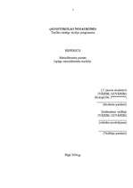 Referāts 'Japāņu menedžmenta modelis', 1.