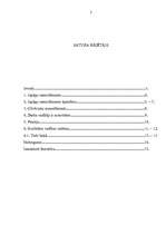 Referāts 'Japāņu menedžmenta modelis', 2.