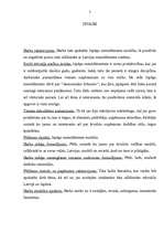 Referāts 'Japāņu menedžmenta modelis', 3.