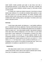 Referāts 'Plastmasas pārstrādes veidi', 6.