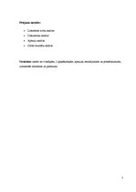 Referāts 'Sociālās atstumtības mazināšana', 5.