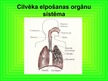 Prezentācija 'Elpošana', 19.