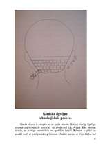 Referāts 'Jaunāko ķīmisko ilgviļņu metodes pusgaros un garos matos', 15.