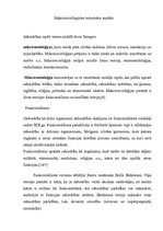 Referāts 'Makrosocioloģisko teorētisko aspektu attīstība Krievijā', 3.