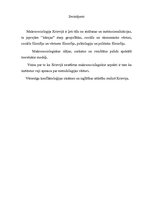 Referāts 'Makrosocioloģisko teorētisko aspektu attīstība Krievijā', 8.