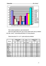 Biznesa plāns 'SIA "Ciemiņi" dibināšanas un darbības uzsākšanas plāns', 12.