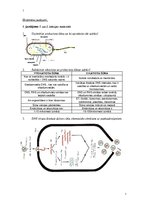 Konspekts 'Medicīniskā bioloģija', 1.