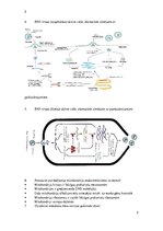 Konspekts 'Medicīniskā bioloģija', 2.