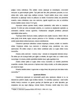 Referāts 'Dekoratīvais apmetums', 11.