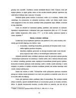 Referāts 'Dekoratīvais apmetums', 16.