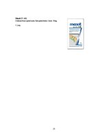 Referāts 'Dekoratīvais apmetums', 23.