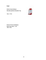 Referāts 'Dekoratīvais apmetums', 24.