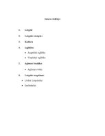 Referāts 'Latgale', 8.