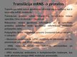 Prezentācija 'Olbaltumvielas', 8.