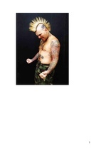 Referāts 'Panki', 7.