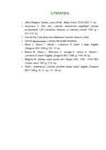 Referāts 'Māra Melgalva dzejoļu analīze', 12.