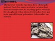 Prezentācija 'Gliemenes', 2.