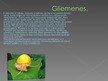 Prezentācija 'Gliemenes', 6.