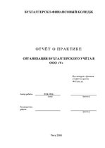 Prakses atskaite 'Организация бухгалтерского учёта в ООО "V"', 1.