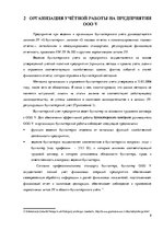 Prakses atskaite 'Организация бухгалтерского учёта в ООО "V"', 8.