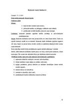 Prakses atskaite 'Aktīvā mācību audzināšanas prakse sākumskolā', 29.