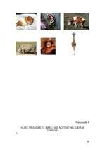 Prakses atskaite 'Aktīvā mācību audzināšanas prakse sākumskolā', 40.