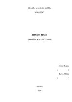 Biznesa plāns 'Biznesa plāns nakts klubam', 1.