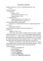 Biznesa plāns 'Biznesa plāns nakts klubam', 4.