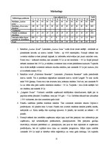 Biznesa plāns 'Biznesa plāns nakts klubam', 15.