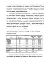 Biznesa plāns 'Biznesa plāns nakts klubam', 19.