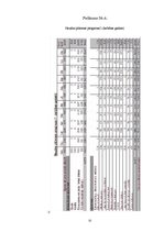 Biznesa plāns 'Biznesa plāns nakts klubam', 32.