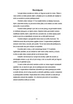 Referāts 'Lielupe', 14.