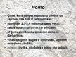 Prezentācija 'Homo habilis, Homo erectus', 2.