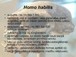 Prezentācija 'Homo habilis, Homo erectus', 4.