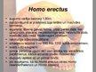 Prezentācija 'Homo habilis, Homo erectus', 7.