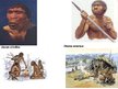 Prezentācija 'Homo habilis, Homo erectus', 8.