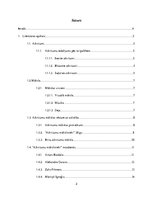 Referāts 'Atkritumi un māksla', 2.