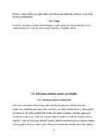 Referāts 'Atkritumi un māksla', 8.