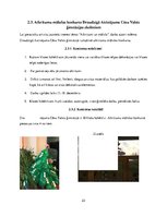 Referāts 'Atkritumi un māksla', 23.