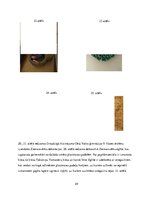 Referāts 'Atkritumi un māksla', 24.