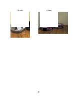 Referāts 'Atkritumi un māksla', 28.