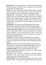 Referāts 'Empīrisko un teorētisko zināšanu salīdzinošā analīze organizācijas vadītāja darb', 49.