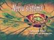 Prezentācija 'Nervu sistēma', 1.