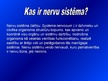 Prezentācija 'Nervu sistēma', 3.