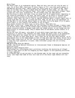 Eseja 'The White Tiger', 1.