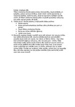 Konspekts 'Noras Ikstenas “Irbju pļaviņa” analīze', 2.