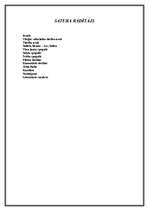 Referāts 'Livonijas laika lēņu sistēmas analīze', 2.