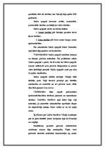 Referāts 'Livonijas laika lēņu sistēmas analīze', 6.