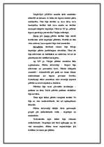 Referāts 'Livonijas laika lēņu sistēmas analīze', 11.